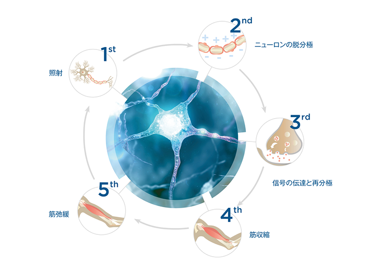 治療のフロー